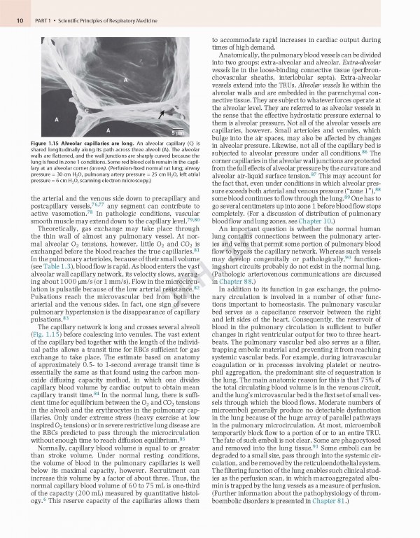 پزشکی تنفسی مورای و نادل ویراست هفتم | Murray & Nadel's Textbook of Respiratory Medicine 2021