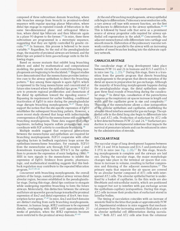 پزشکی تنفسی مورای و نادل ویراست هفتم | Murray & Nadel's Textbook of Respiratory Medicine 2021