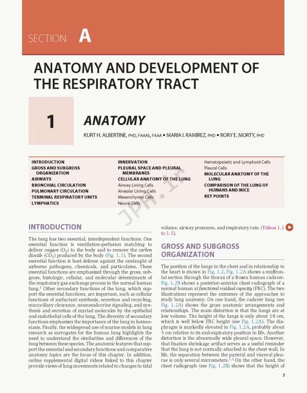 پزشکی تنفسی مورای و نادل ویراست هفتم | Murray & Nadel's Textbook of Respiratory Medicine 2021