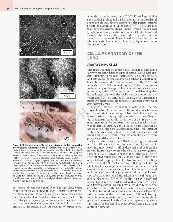 پزشکی تنفسی مورای و نادل ویراست هفتم | Murray & Nadel's Textbook of Respiratory Medicine 2021