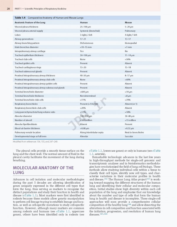 پزشکی تنفسی مورای و نادل ویراست هفتم | Murray & Nadel's Textbook of Respiratory Medicine 2021