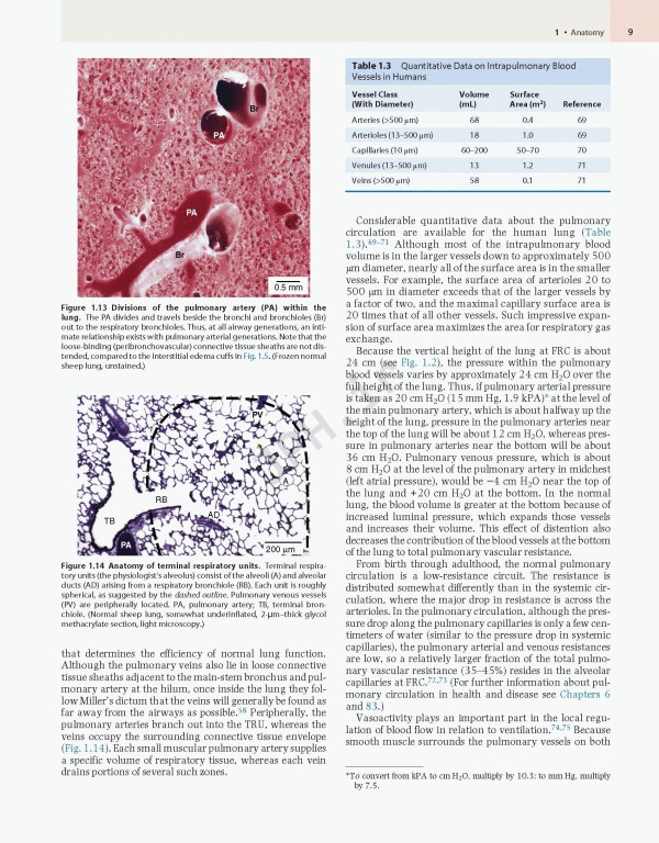 پزشکی تنفسی مورای و نادل ویراست هفتم | Murray & Nadel's Textbook of Respiratory Medicine 2021