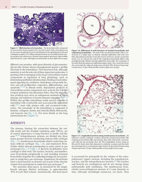 پزشکی تنفسی مورای و نادل ویراست هفتم | Murray & Nadel's Textbook of Respiratory Medicine 2021