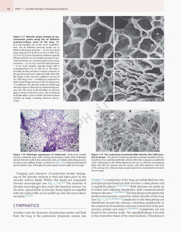 پزشکی تنفسی مورای و نادل ویراست هفتم | Murray & Nadel's Textbook of Respiratory Medicine 2021