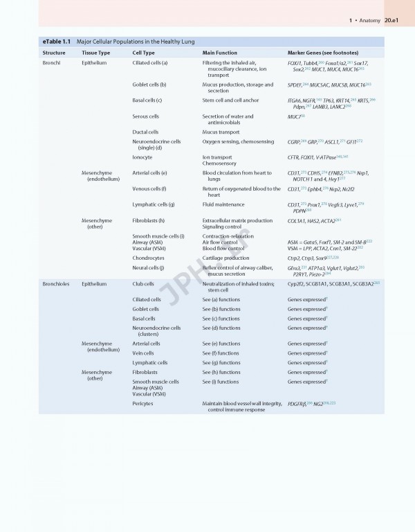 پزشکی تنفسی مورای و نادل ویراست هفتم | Murray & Nadel's Textbook of Respiratory Medicine 2021