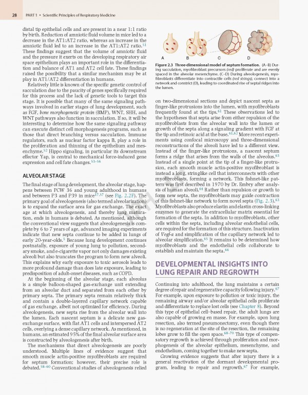 پزشکی تنفسی مورای و نادل ویراست هفتم | Murray & Nadel's Textbook of Respiratory Medicine 2021