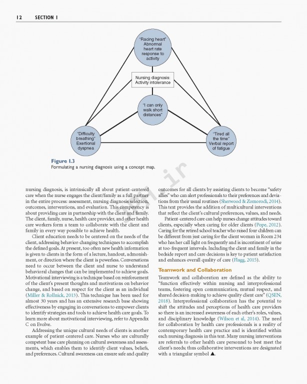 راهنمای تشخیص پرستاری ویراست دوازدهم | Nursing Diagnosis Handbook 2019