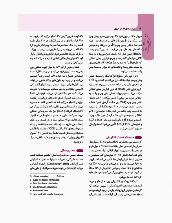 مبانی طب داخلی سیسیل 2016 تک جلدی