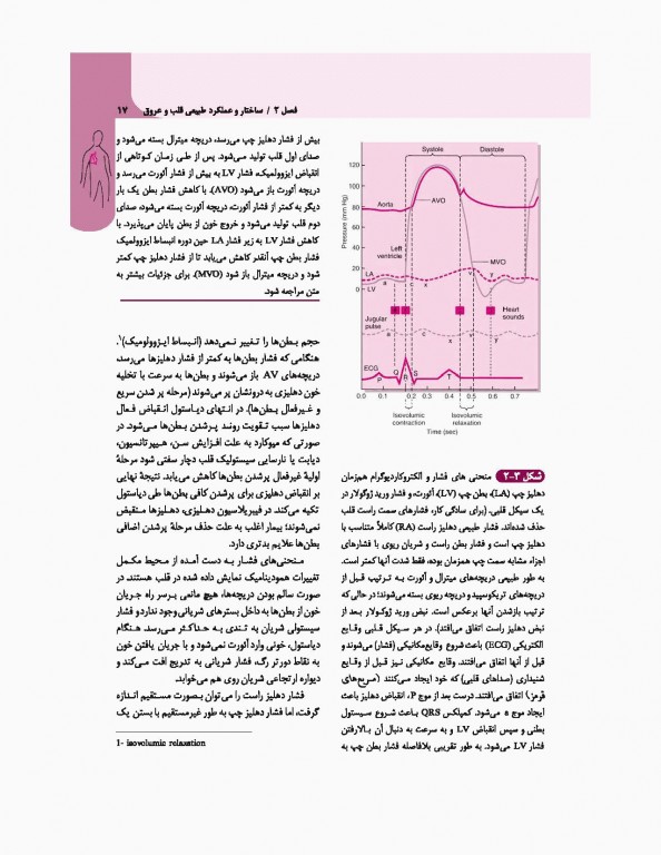 مبانی طب داخلی سیسیل 2016 تک جلدی