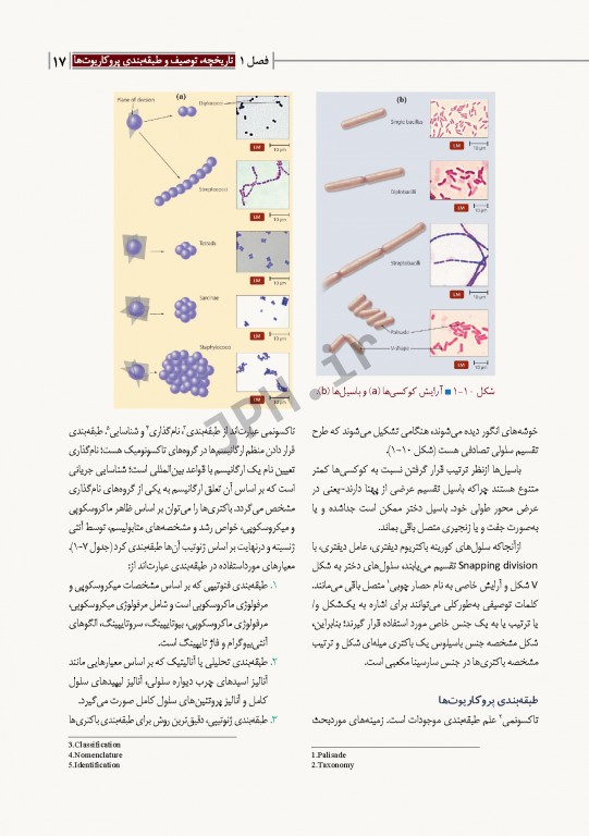 مبانی میکروب‌شناسی و باکتری‌شناسی جامع پزشکی دکتر امید عزیزی