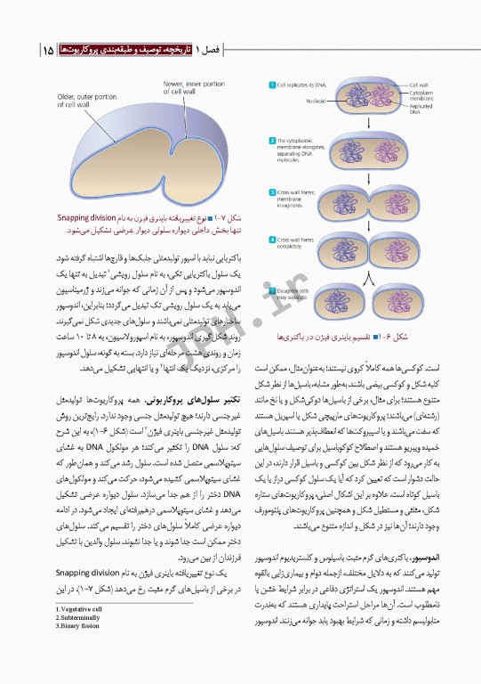 مبانی میکروب‌شناسی و باکتری‌شناسی جامع پزشکی دکتر امید عزیزی