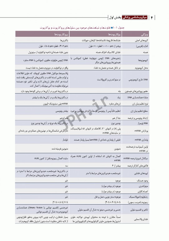 مبانی میکروب‌شناسی و باکتری‌شناسی جامع پزشکی دکتر امید عزیزی