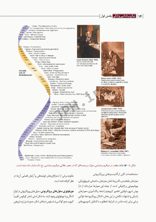 مبانی میکروب‌شناسی و باکتری‌شناسی جامع پزشکی دکتر امید عزیزی