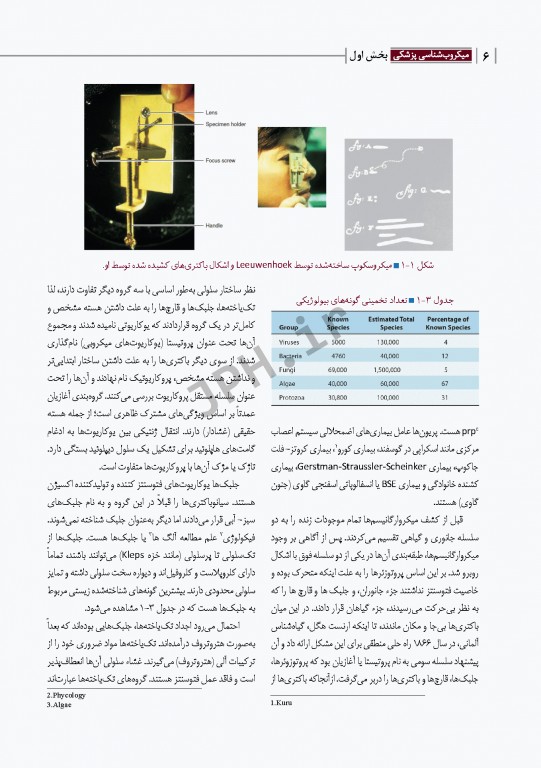 مبانی میکروب‌شناسی و باکتری‌شناسی جامع پزشکی دکتر امید عزیزی