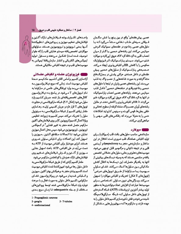 مبانی طب داخلی سیسیل 2016 تک جلدی