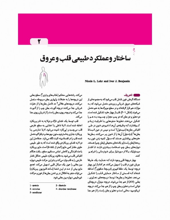 مبانی طب داخلی سیسیل 2016 تک جلدی