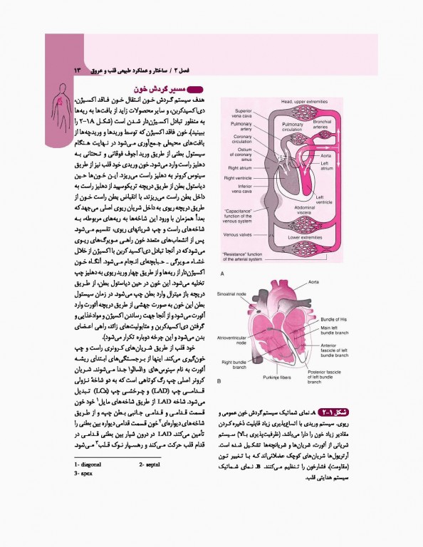 مبانی طب داخلی سیسیل 2016 تک جلدی
