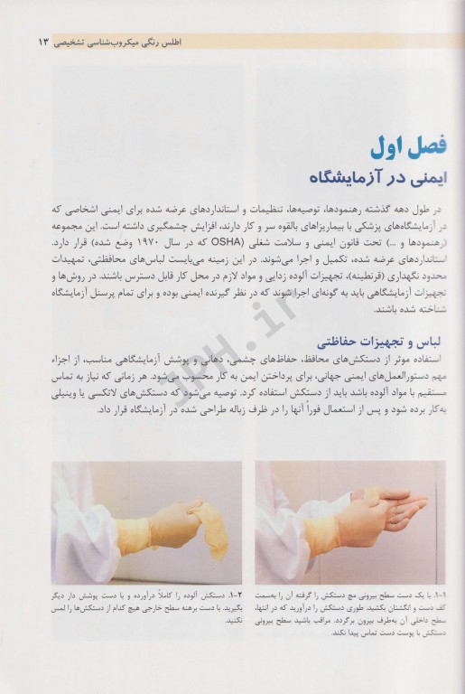 اطلس رنگی میکروب‌شناسی تشخیصی ترجمه برومند حسینی