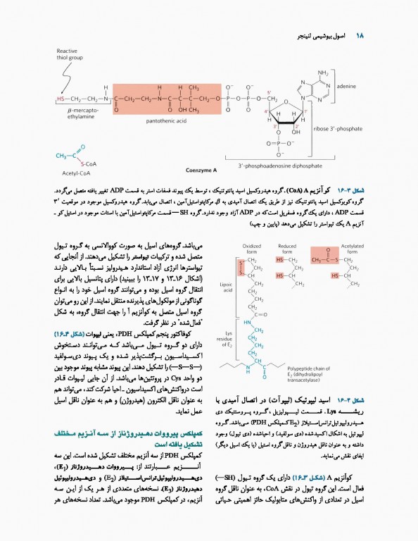 اصول بیوشیمی لنینجر 2017 دکتر سلامی جلد دوم