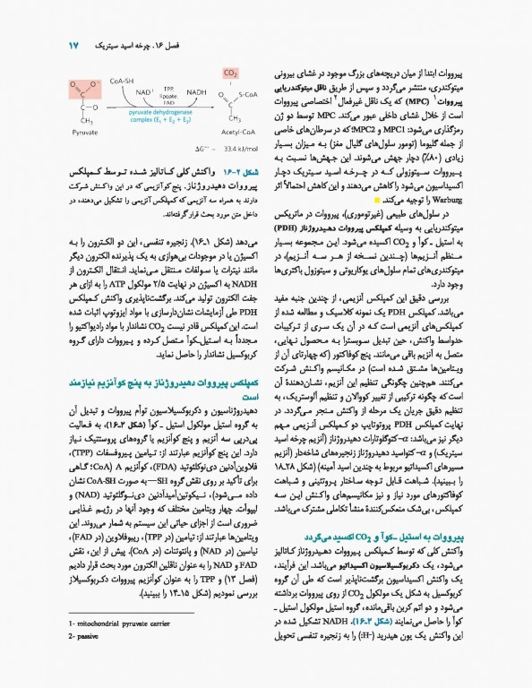 اصول بیوشیمی لنینجر 2017 دکتر سلامی جلد دوم