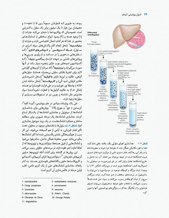 اصول بیوشیمی لنینجر 2017 دکتر سلامی جلد اول