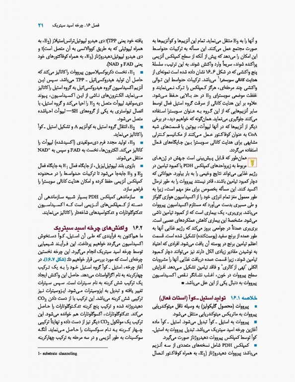 اصول بیوشیمی لنینجر 2017 دکتر سلامی جلد دوم