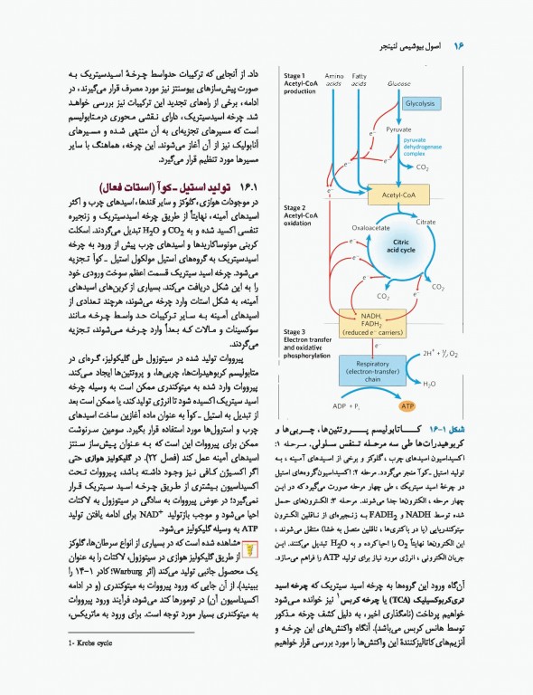 اصول بیوشیمی لنینجر 2017 دکتر سلامی جلد دوم
