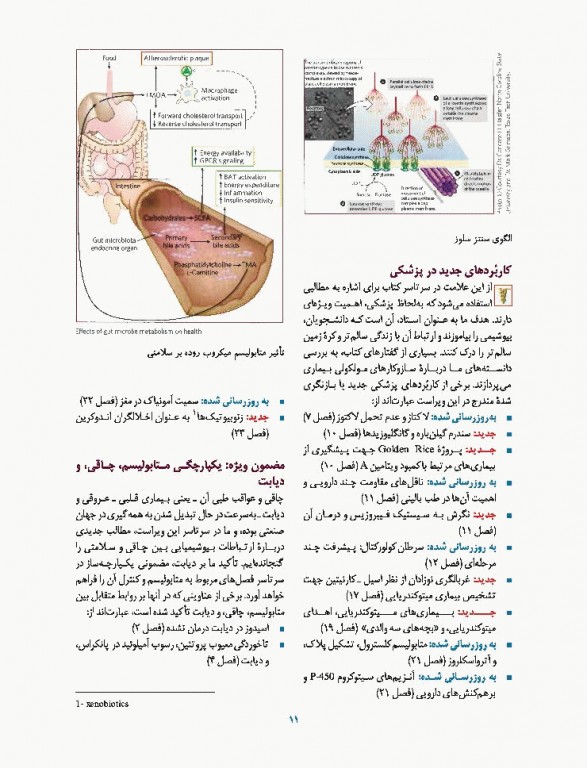 اصول بیوشیمی لنینجر 2017 دکتر سلامی جلد دوم