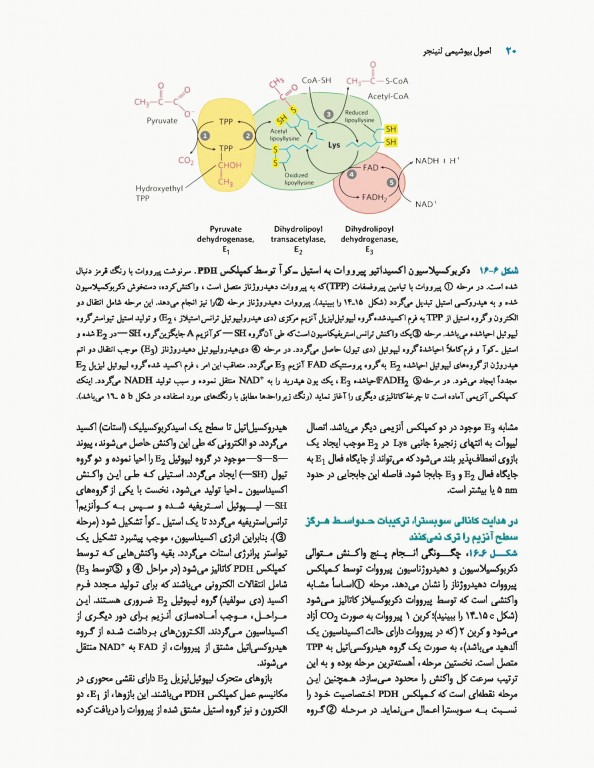 اصول بیوشیمی لنینجر 2017 دکتر سلامی جلد دوم