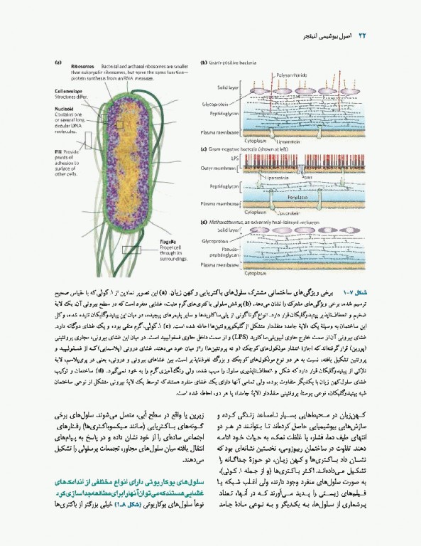 اصول بیوشیمی لنینجر 2017 دکتر سلامی جلد اول