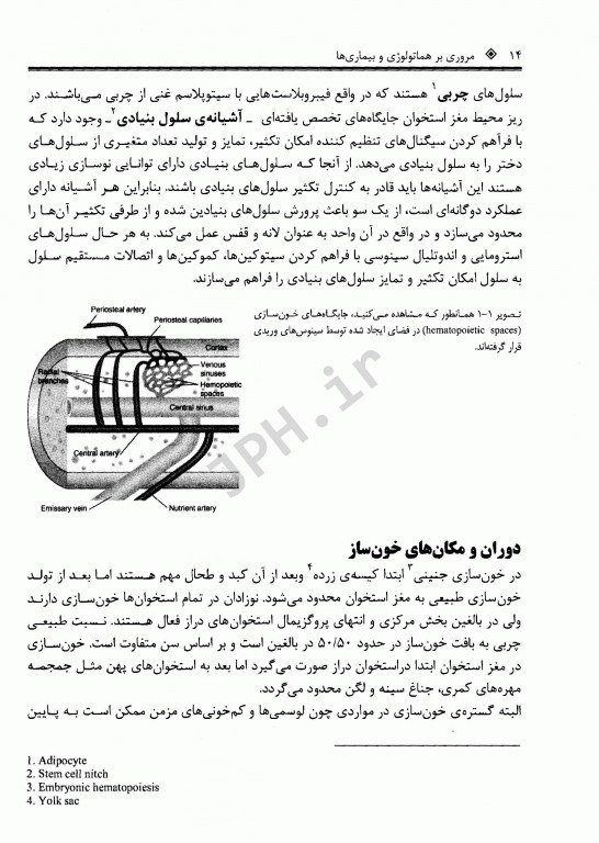 مروری بر هماتولوژی و بیماری‌ها به انضمام آزمون‌های چهارگزینه‌ای