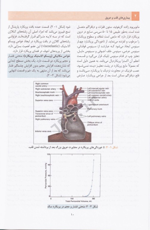 بیماری‌های قلب و عروق دکتر ابراهیم نعمتی‌پور