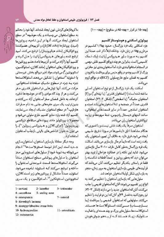 مبانی طب داخلی سیسیل 2016 بیماری‌های دستگاه ایمنی و بافت همبند روماتولوژی