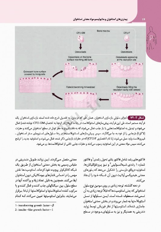 مبانی طب داخلی سیسیل 2016 بیماری‌های دستگاه ایمنی و بافت همبند روماتولوژی