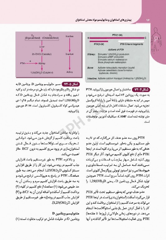 مبانی طب داخلی سیسیل 2016 بیماری‌های دستگاه ایمنی و بافت همبند روماتولوژی