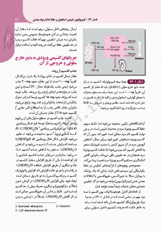 مبانی طب داخلی سیسیل 2016 بیماری‌های دستگاه ایمنی و بافت همبند روماتولوژی