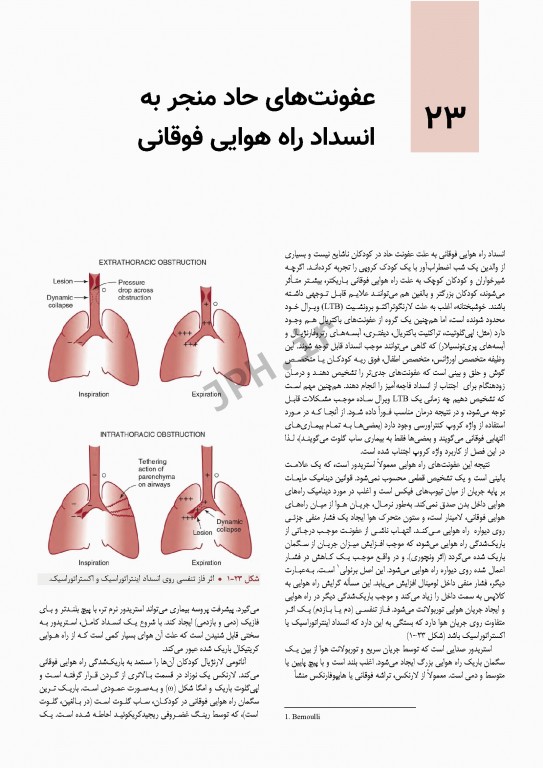 بیماری‌های ریوی کودکان کندیگ 2019 جلد2 بیماری‌های عفونی ریه