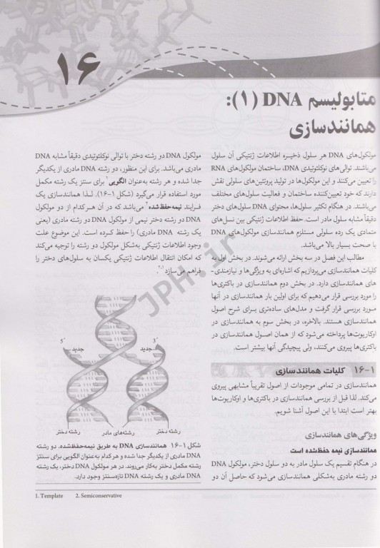 بیوشیمی پزشکی اصول و کاربردها جلد دوم متابولیسم و بیوشیمی اختصاصی دکتر رضا محمدی