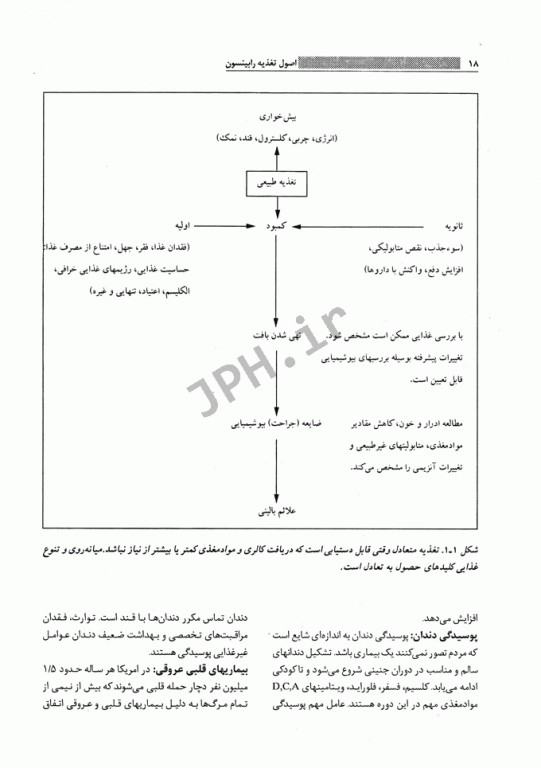 اصول تغذیه رابینسون