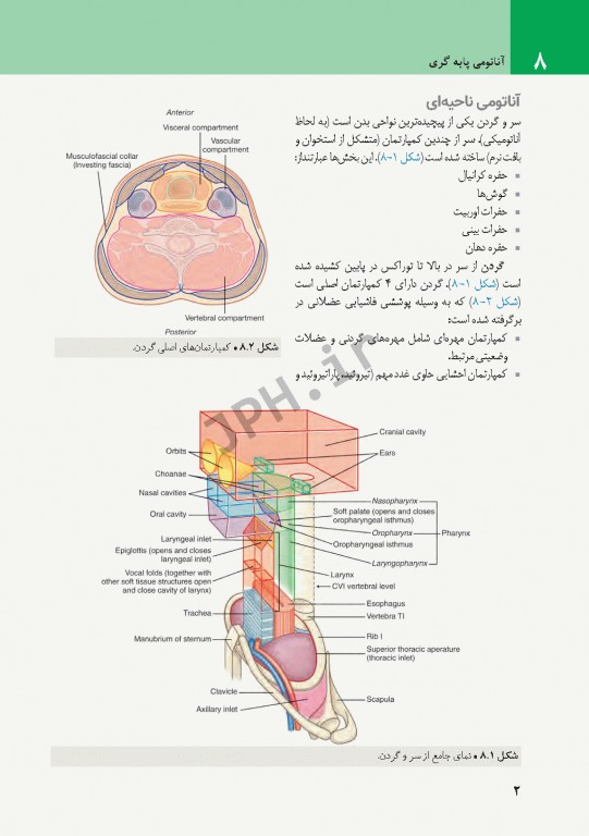 چکیده‌ آناتومی پایه گری 2018 جلد3 سر و گردن