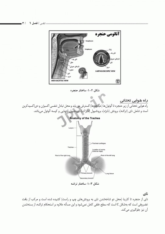 بیماری‌شناسی اختصاصی1 تنفس، قلب و عروق، گوارش