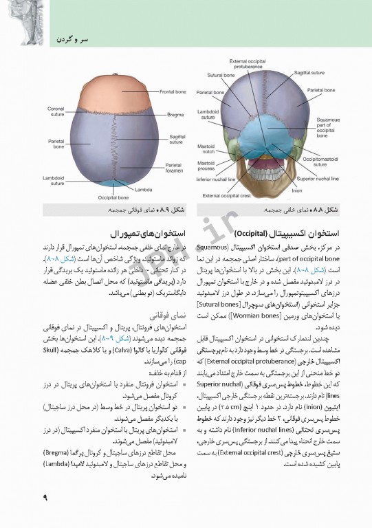 چکیده‌ آناتومی پایه گری 2018 جلد3 سر و گردن
