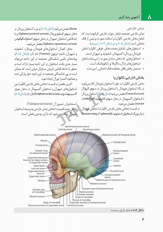 چکیده‌ آناتومی پایه گری 2018 جلد3 سر و گردن