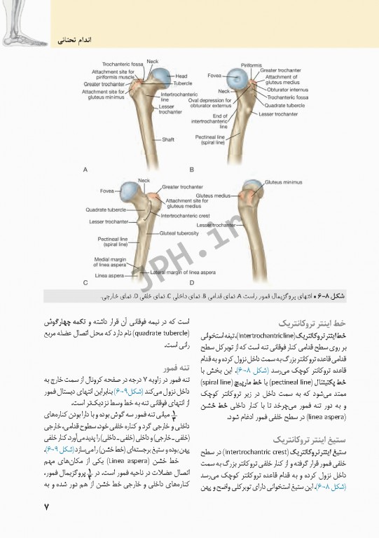 چکیده‌ آناتومی پایه گری 2018 جلد2 اندام