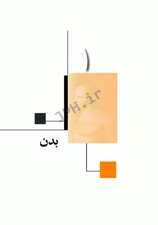 چکیده‌ آناتومی پایه گری 2018 جلد1 تنه