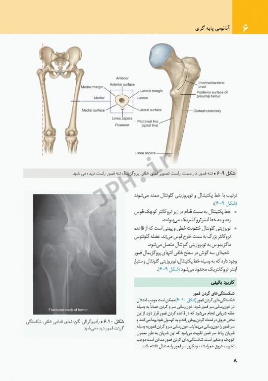 چکیده‌ آناتومی پایه گری 2018 جلد2 اندام