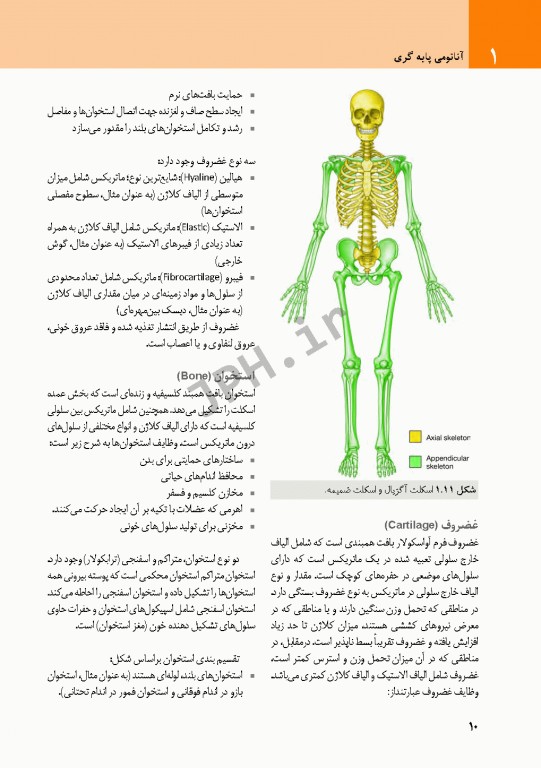 چکیده‌ آناتومی پایه گری 2018 جلد1 تنه