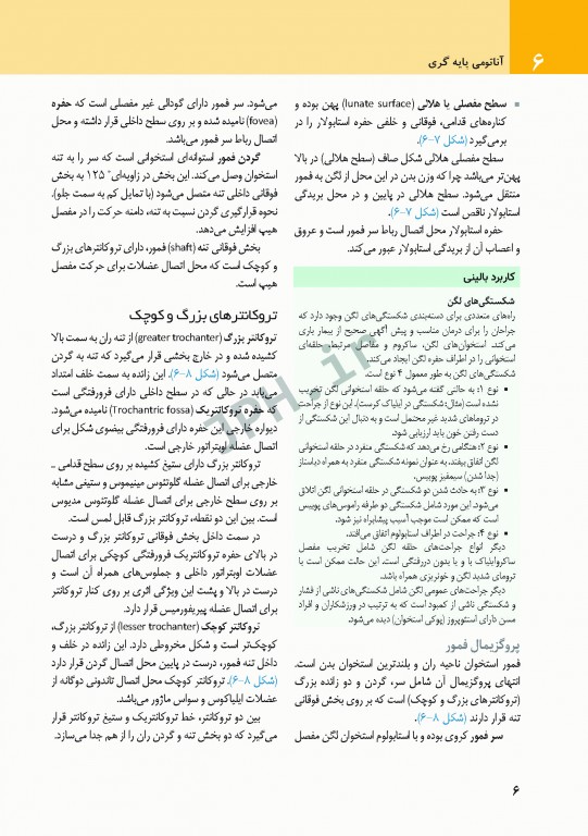 چکیده‌ آناتومی پایه گری 2018 جلد2 اندام