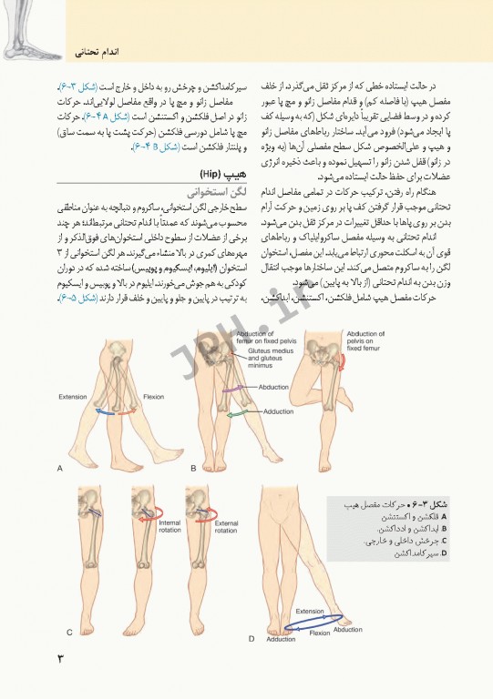 چکیده‌ آناتومی پایه گری 2018 جلد2 اندام