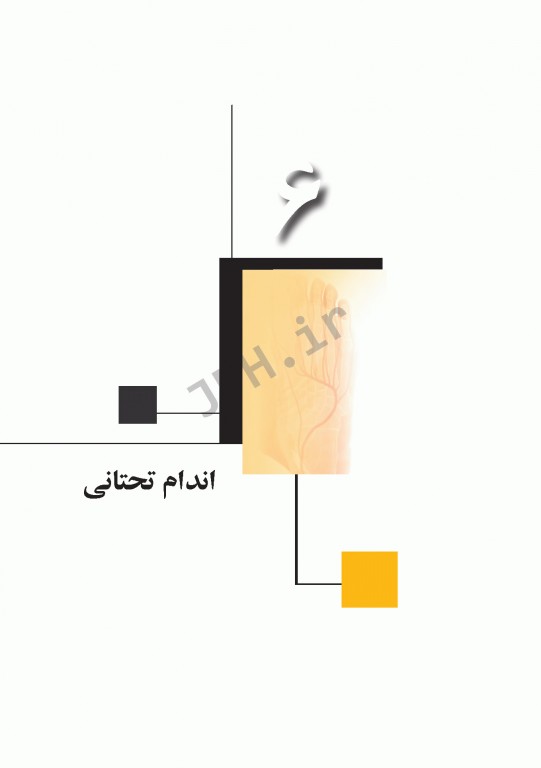 چکیده‌ آناتومی پایه گری 2018 جلد2 اندام